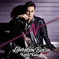 加藤和樹　DVDセット Amazon.co.jp: ☆ドラマ Fallen Angel DVD-BOX 加藤和樹 植原