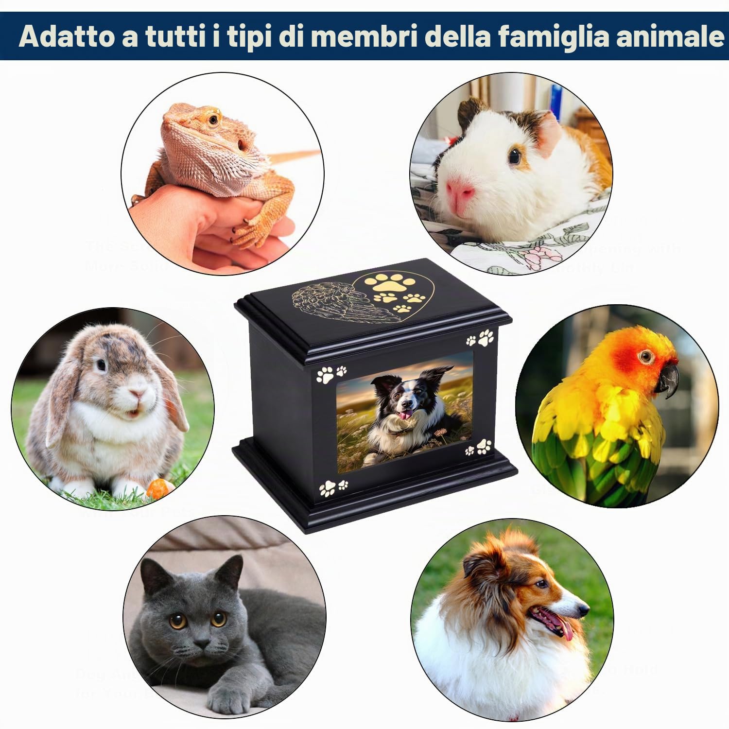 Pet Ashes Box Urne per Dog Memorial XLarge Funeral Cremazione Urne in Legno con Cornice Foto Memoriale Keepsake Memory Box con Flanella Nera Come Fodera Perdita Pet Memorial Remembrance Gift