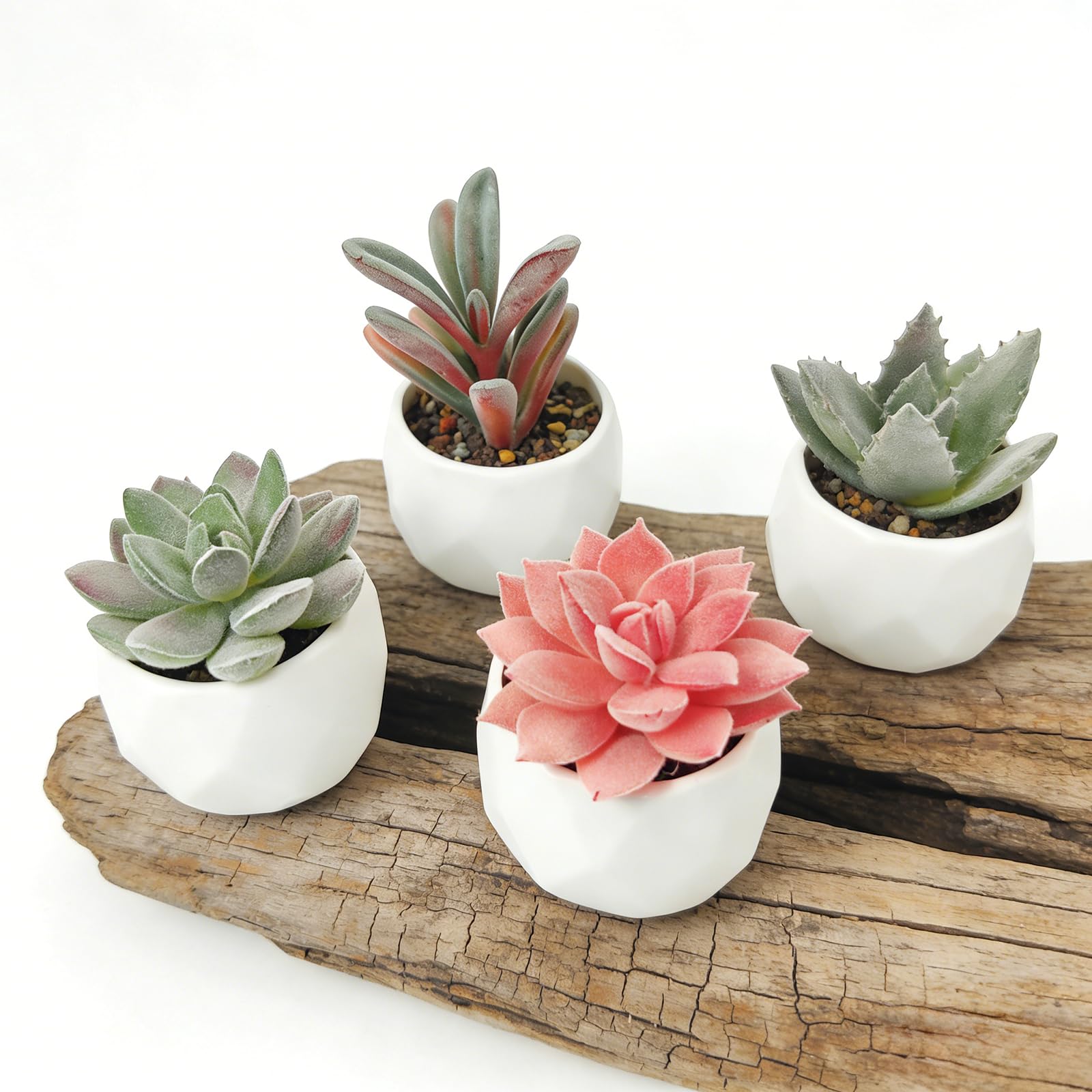 Domisella Artificial Succulent Plants in Ceramic Pot, Set of 4 Small Fake Indoor Potted Plants for Home Decor, Office, Bathroom, Kitchen, Window Sill & Table, Realistic Faux Succulents Greenery Decor