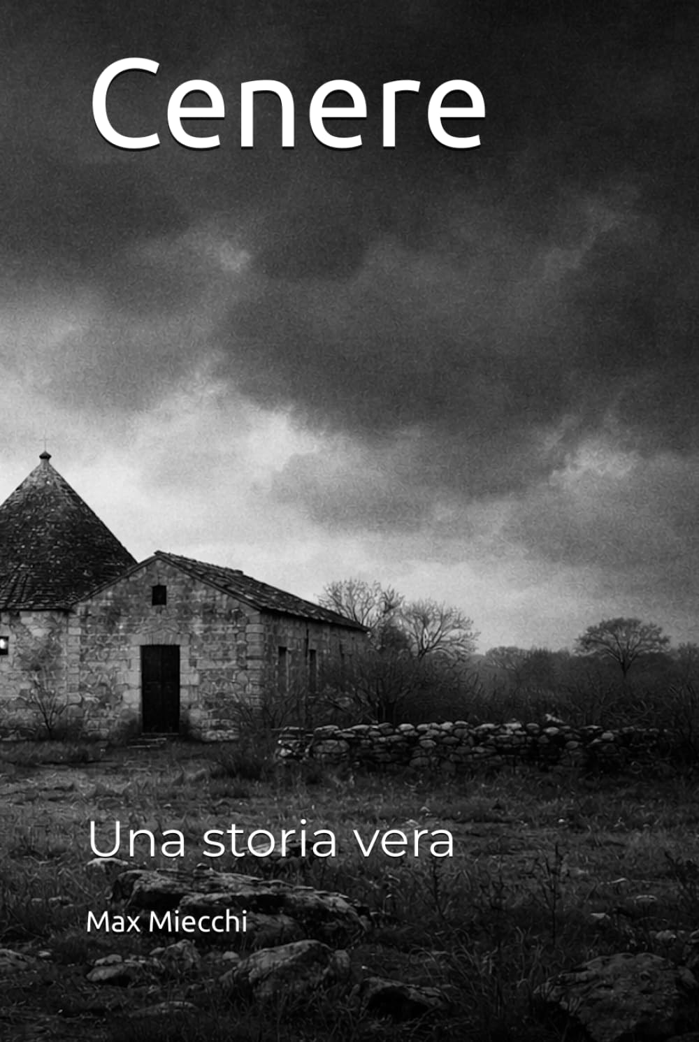 Cenere: Una storia vera (Romanzi)