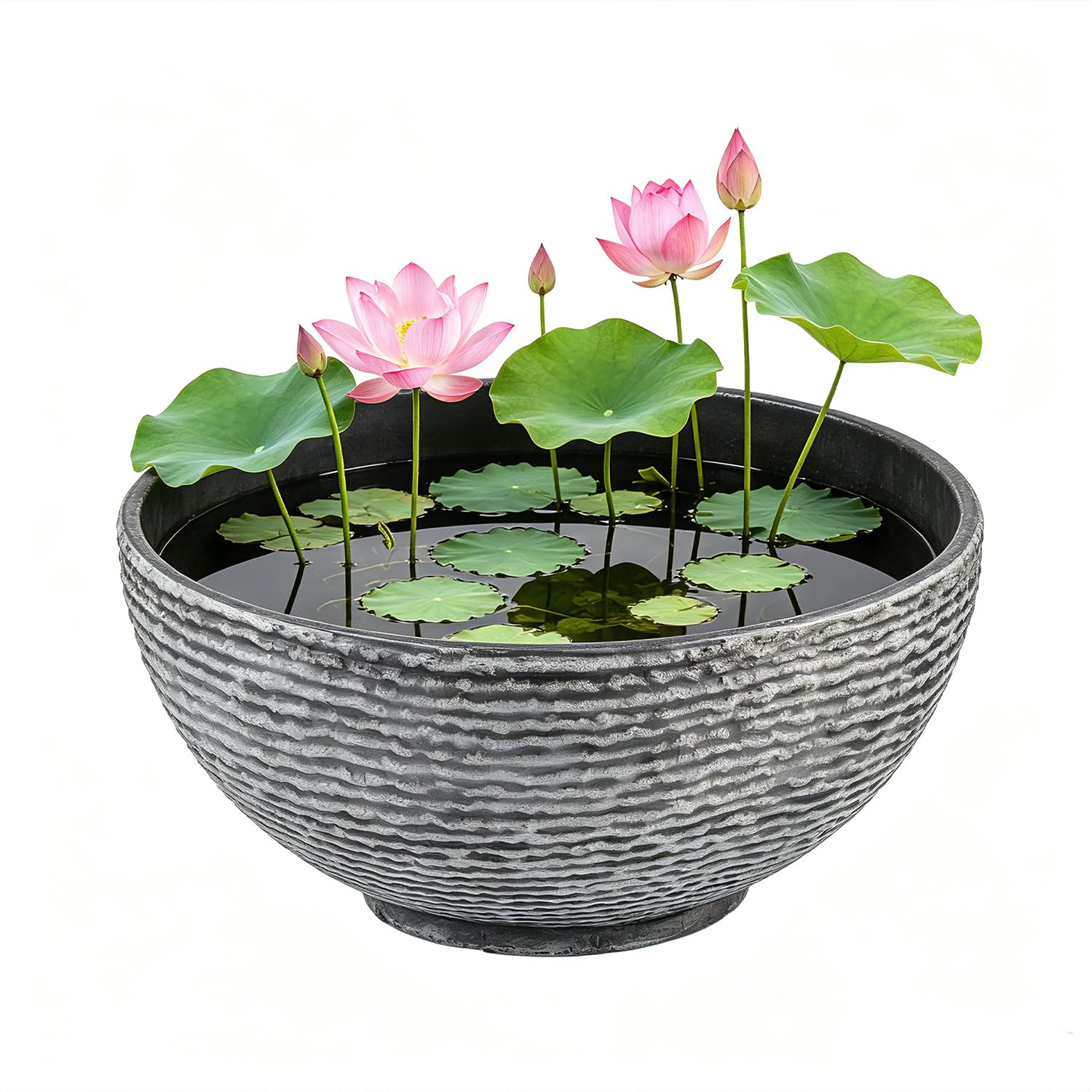 Amazon.com : Sungmor Ash Black Resin Outdoor Low Bowl Planter Bird