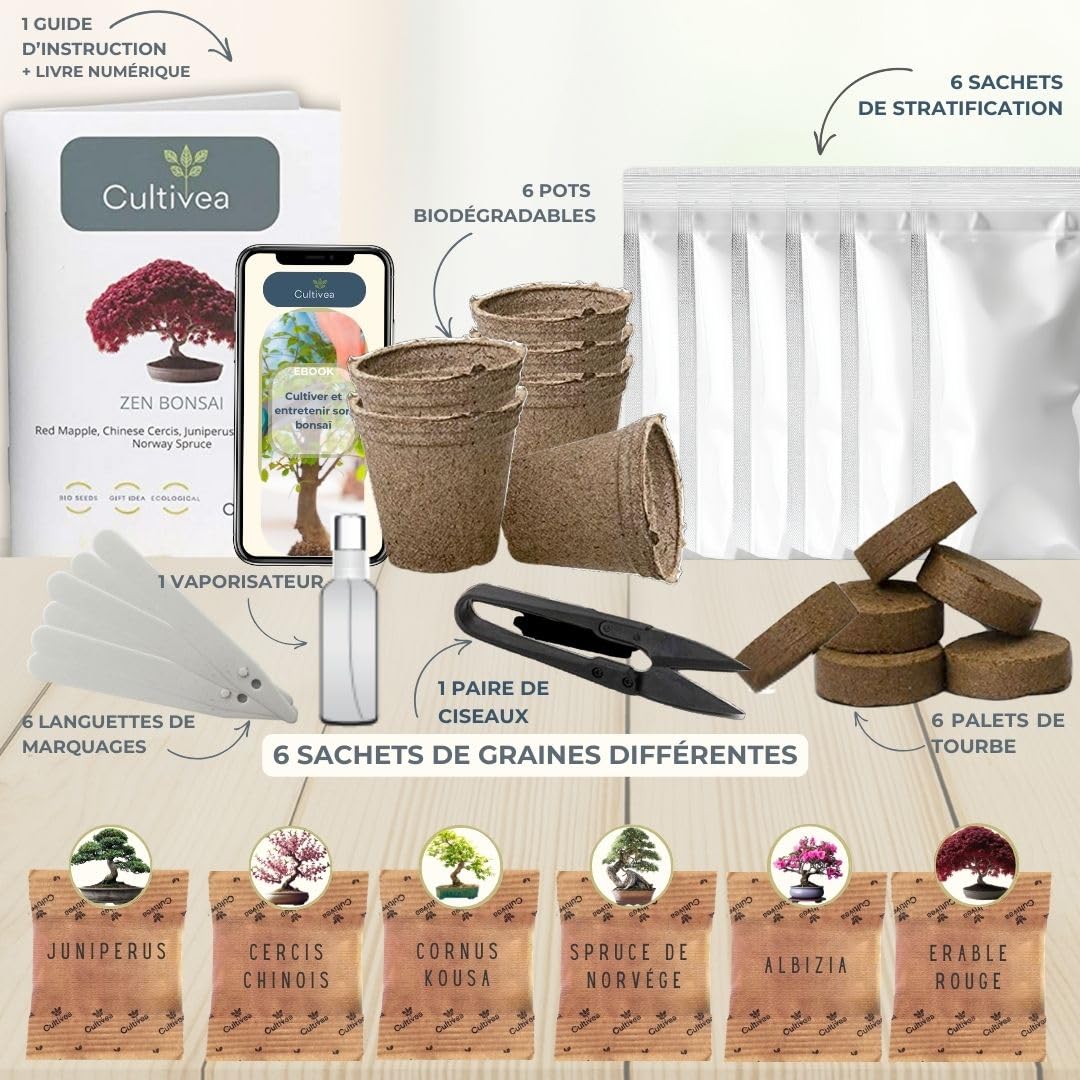 CULTIVEA Set mit 3 Bonsai-Samen – französische Samen, 100% ökologisch – Gärtnern & Dekorieren – Geschenkidee (Red Mapple, Chinesische Cercis, Juniperus, Liquidambar, Norway Spruce) – hergestellt in