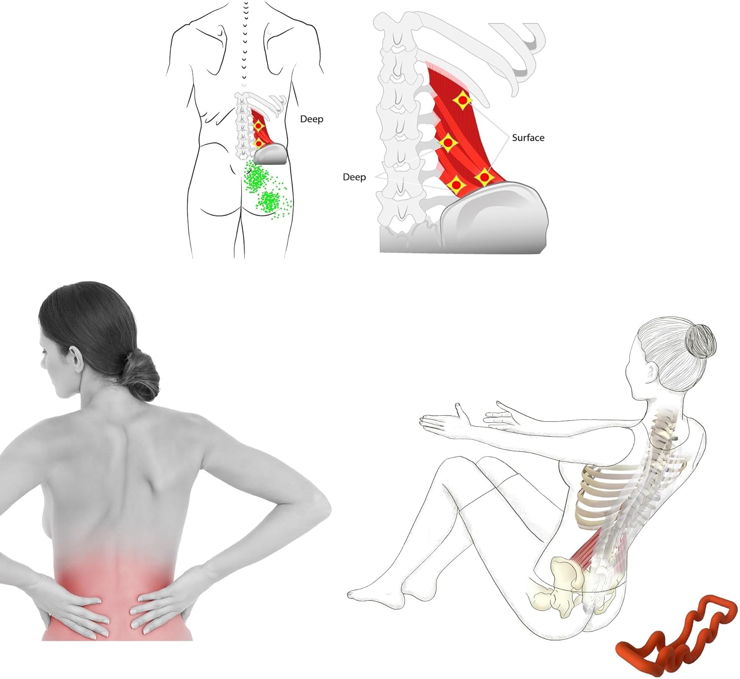 Back Deep Tissue Massager, Back Stretcher, Relieve Low Back Pain, Middle Back Pain and Sciatica, Athletes Muscle Recovery Tool - Image 4