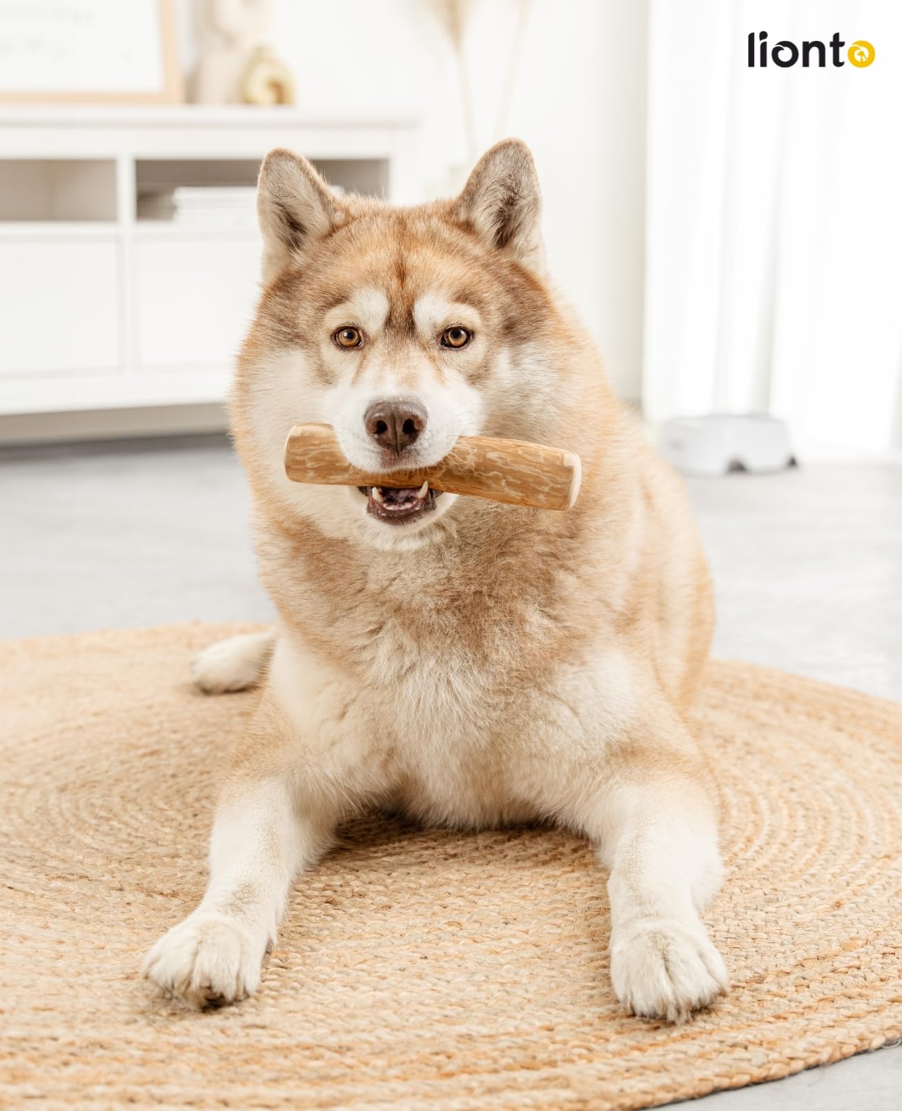 Kauwbot voor honden, met kip DENTA FUN