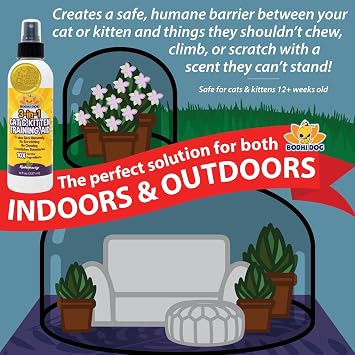 Bodhi Dog 3-in-1 Cat & Kitten Training Aid Spray + Cat No More Marking Spray Bundle