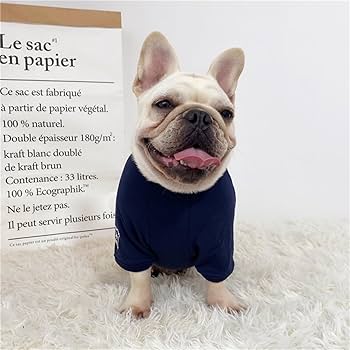 新品　ディースクエアード☆Tシャツ　犬　フレンチブルドッグ Amazon | 世界で最も偉大な犬のフレンチブルドッグについて聞い
