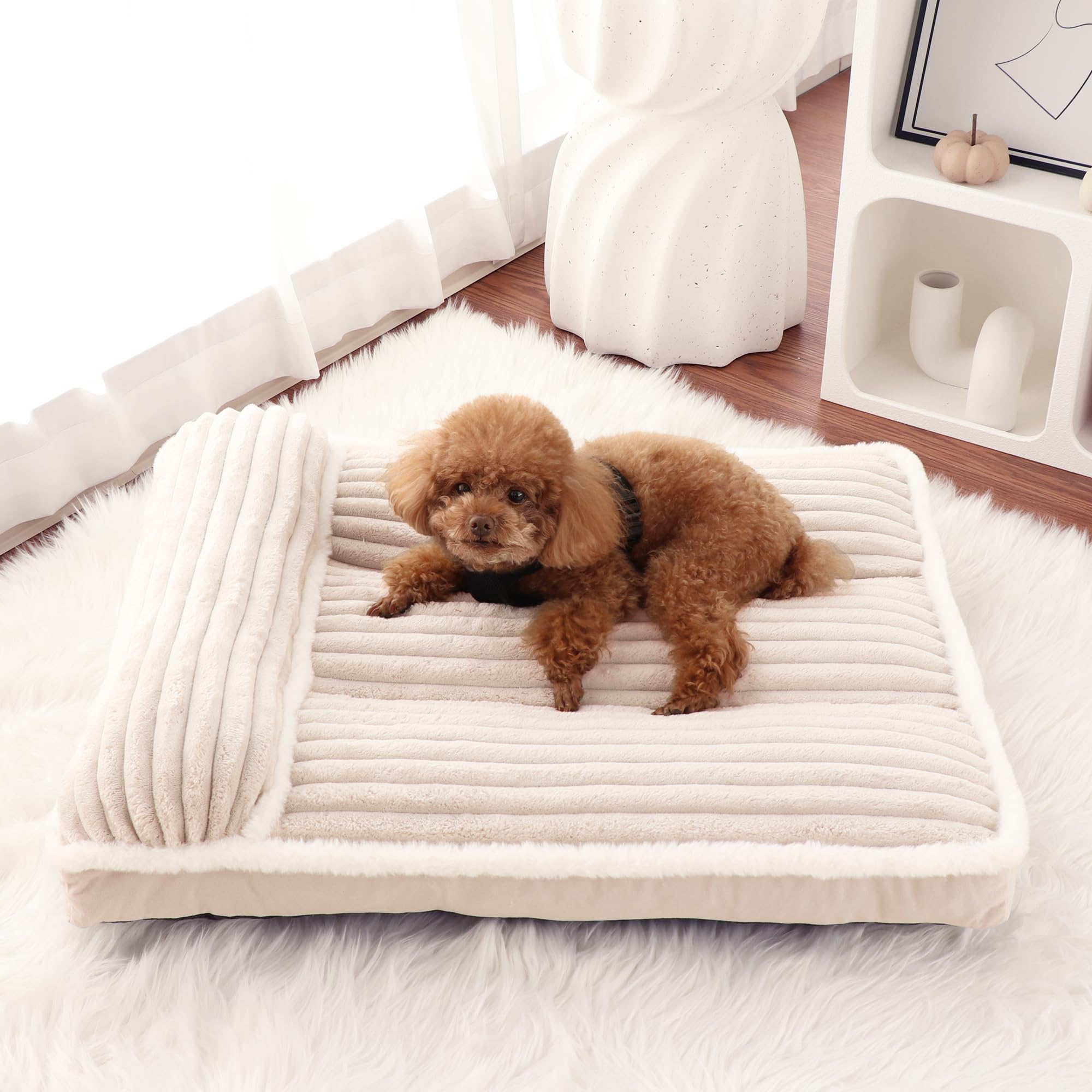 Luxury Dog Bed with Pillow Deluxe Flannel Pet Bed with Removable Washable Cover & Anti-Slip Bottom, Super Soft Dog Sofa Fluffy Dog Mat for Crate Kennel (Cream, Large(36 * 23 * 3 in))