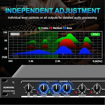 Audio Crossover, Professional 2/3-Way or 4-Way Mono Crossover with XLR Input & Output, Signal Processor for PA System with Subwoofer Support