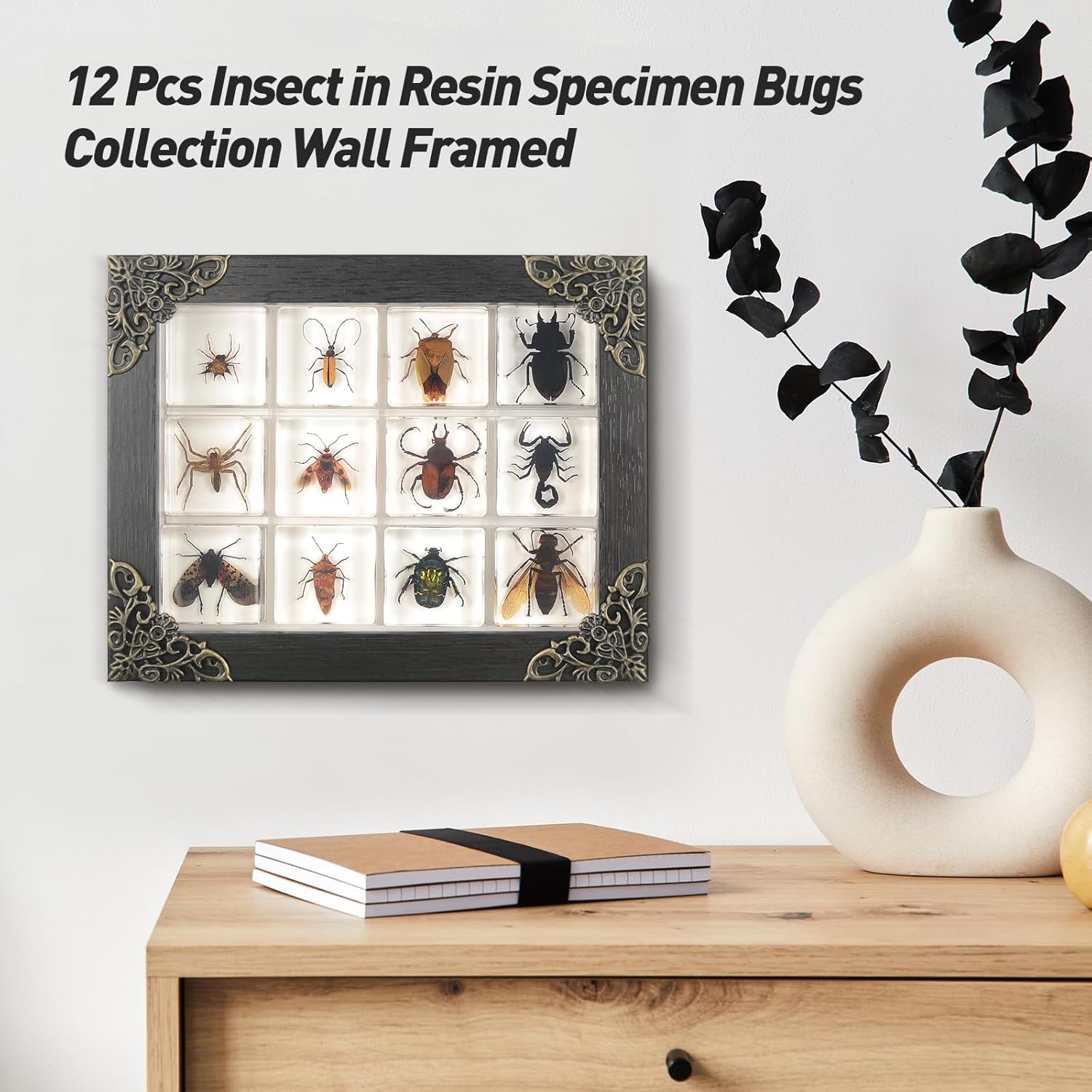 12 Pcs Insect in Resin Specimen Bugs Collection Paperweights, Resin Insects Specimen Frame Decoration for Tabletop Wall Art Decoration Scientific Educational Display Supplies (12 PCS Insects)