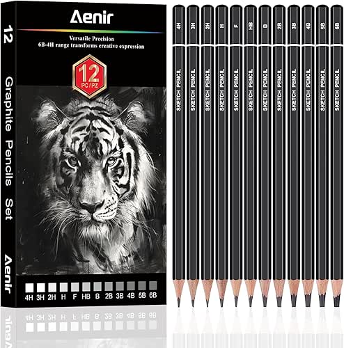 Sketch Pencils for Drawing, Set of 12 Drawing Pencils for