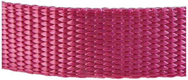 Foto 4 de 4 de Nobby Collar para Perros - Classic
