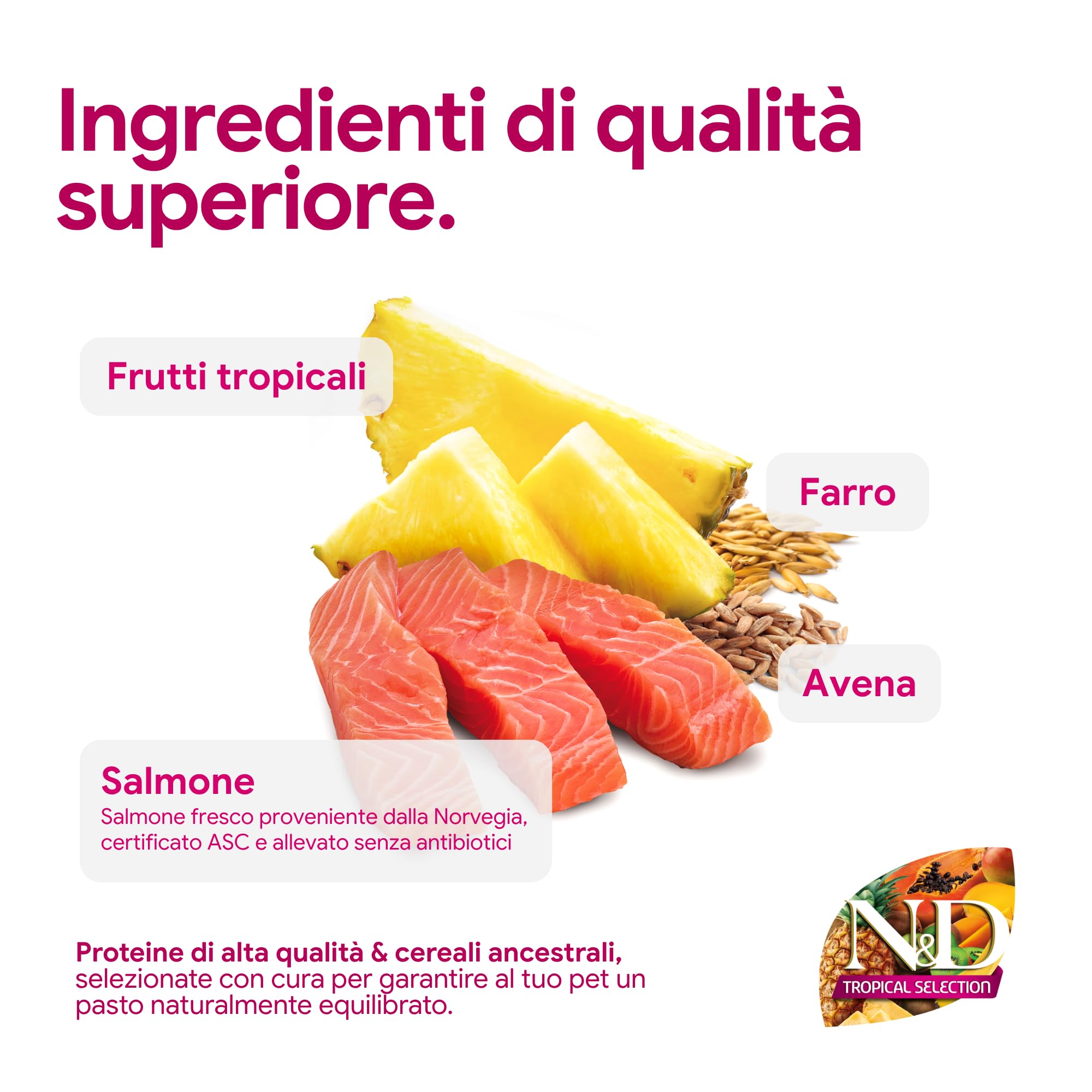 N&D Tropical Selection Salmon and tropical fruits Adult Medium & Maxi 2.00 kg