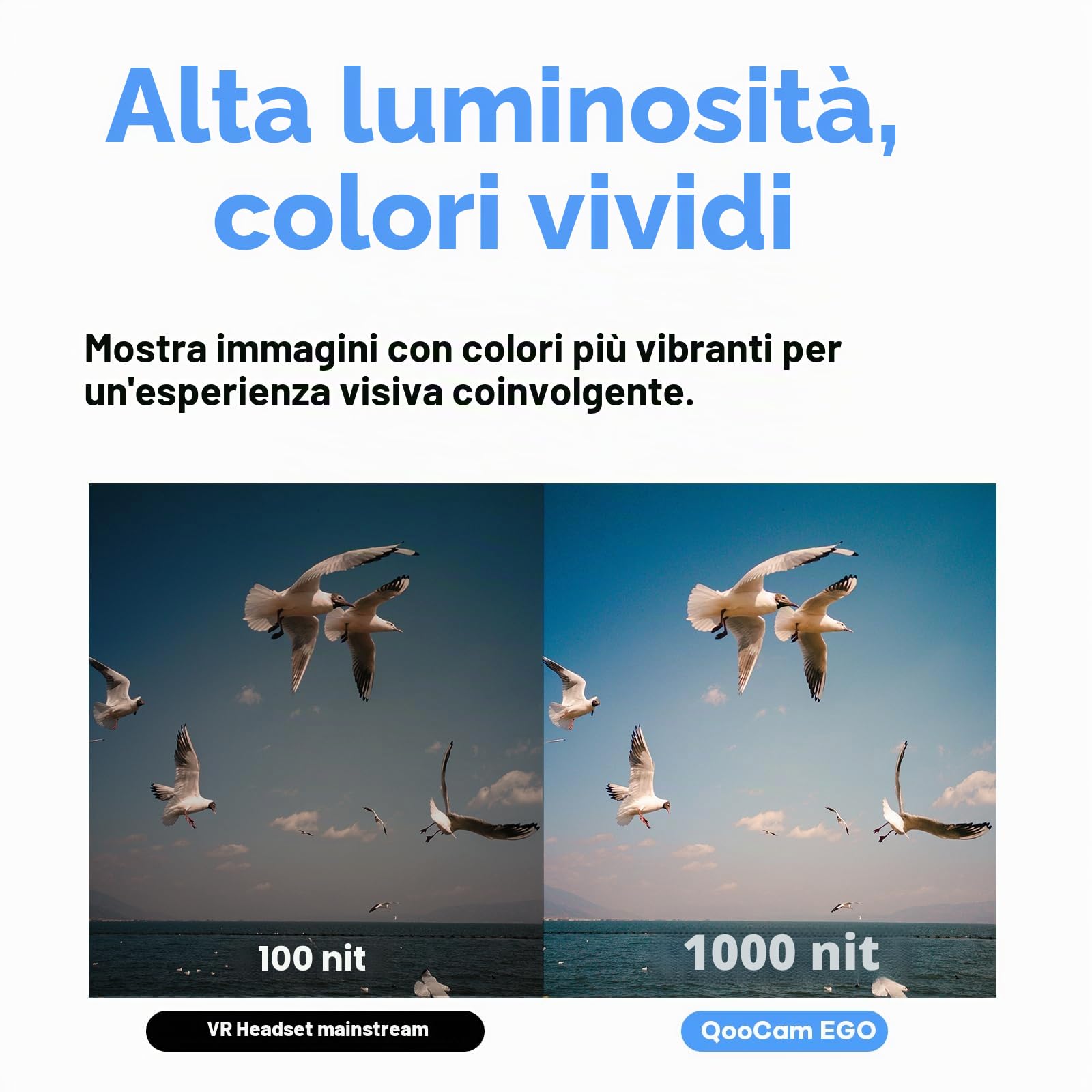 Kandao QooCam EGO 3D Macchina fotografica Nero