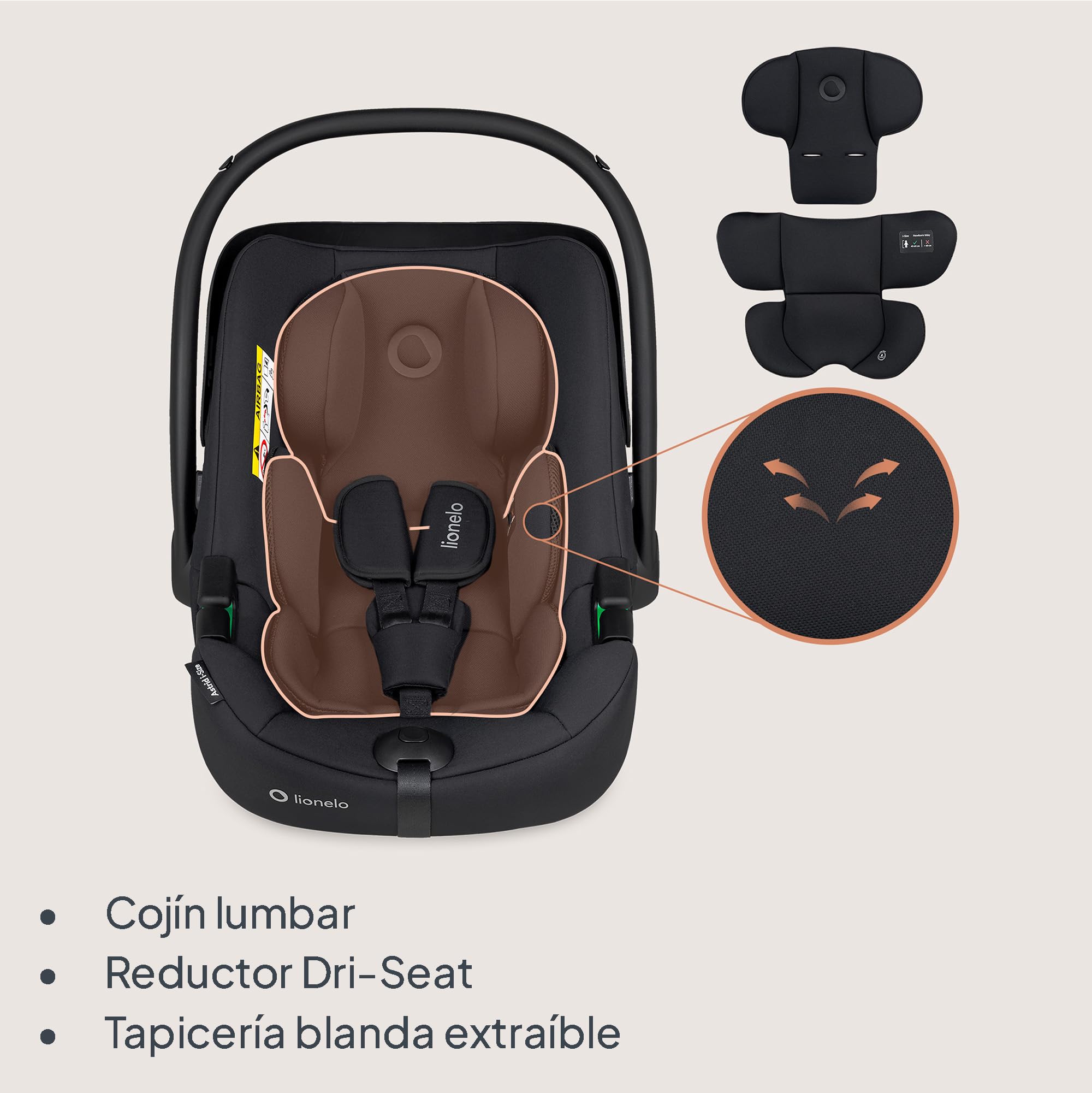 Lionelo ASTRID silla de coche para bebés 40-87 cm (Grupo 0+) i-Size puntos protección lateral Portabebés, Orientación trasera cinturón de seguridad de 3