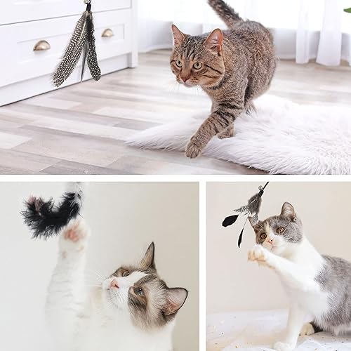 Miniatura 5 de SONGWAY Juego de juguetes interactivos de plumas para gatos, varita retráctil con 6 recambios de plumas con campana, juguetes de varita para gatos