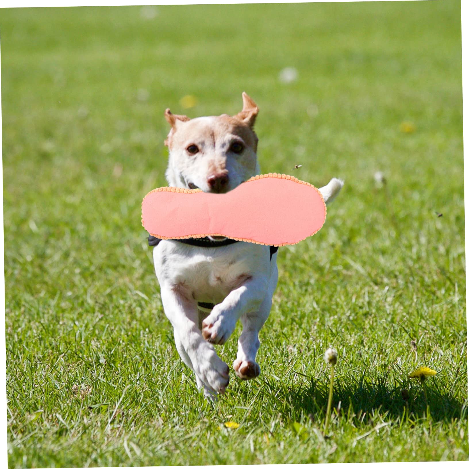 Toddmomy 3piezas Juguete para Mascotas Sonido Juguete Forma De Pantufla para Perros para Masticar y Limpiar Dientes Resistente y Duradero