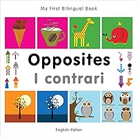Algopix Similar Product 6 - My First Bilingual BookOpposites