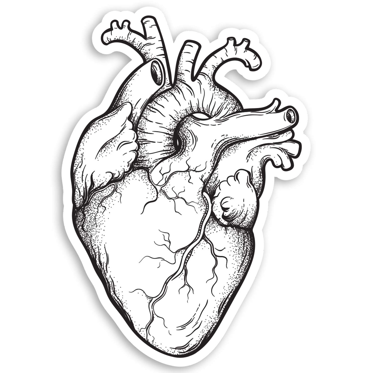 2 x 10cm Human Heart Vinyl Stickers - Doctor Uni Biology Science Sticker #34417 (10cm Tall)