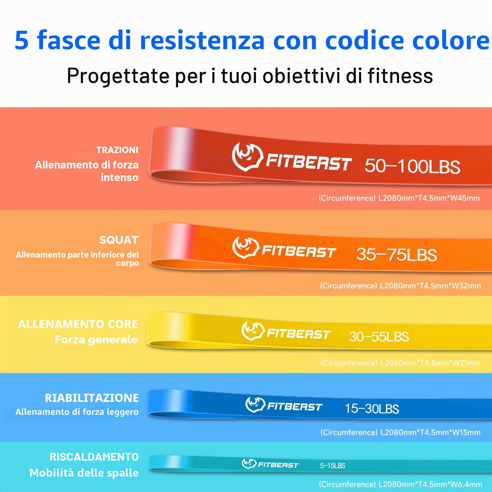 FitBeast Set di fasce di resistenza, 5 diversi livelli, con fibbia per porta e grip pad, ideale per pilates, allenamento, fisioterapia, stretching, yoga, ginnastica domestica (multicolore 5-100 LBS)