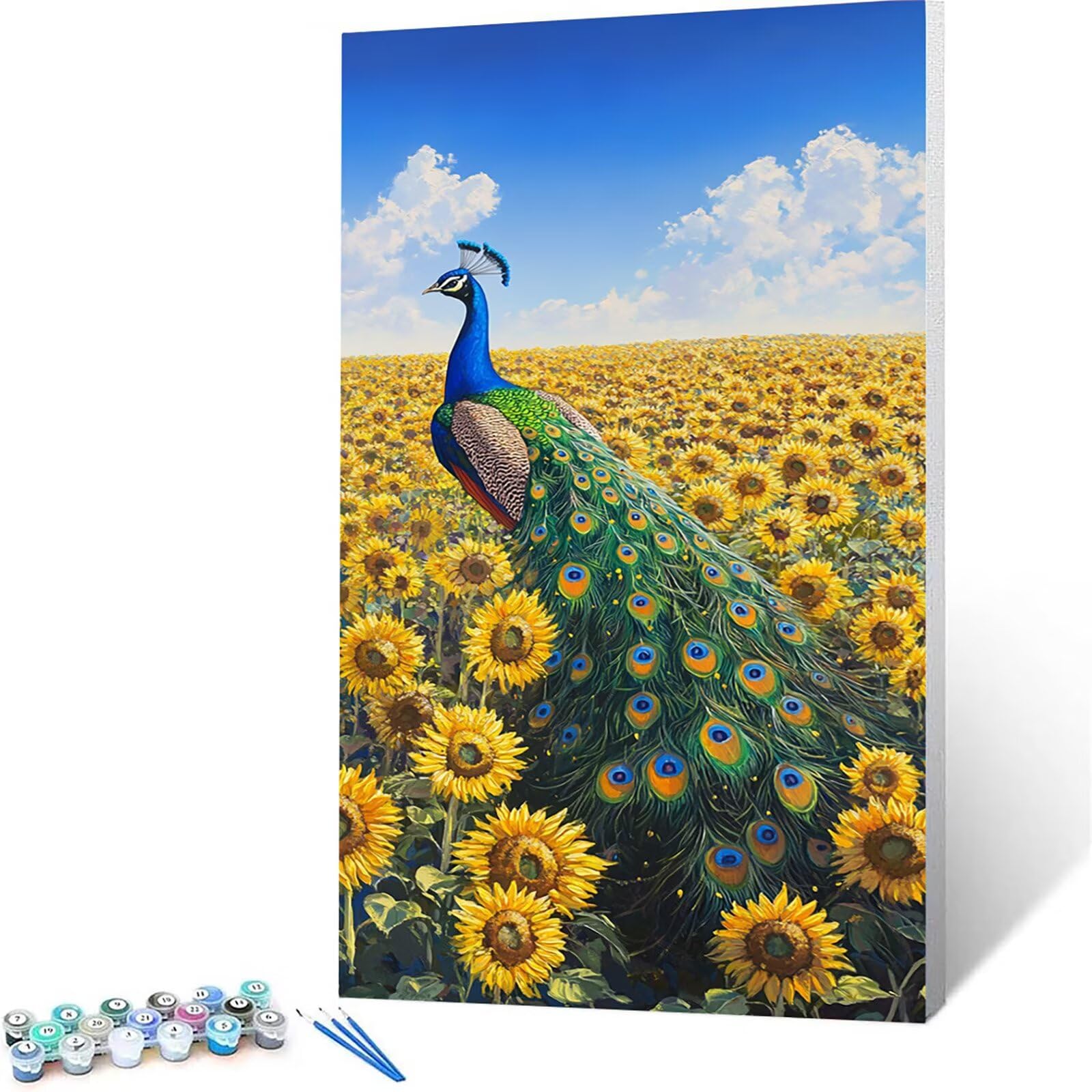 Amazon.com: Peacock Paint by Numbers for Adults, Canvas for