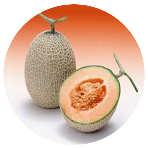 Benefits of Cantaloupe App on Amazon Appstore