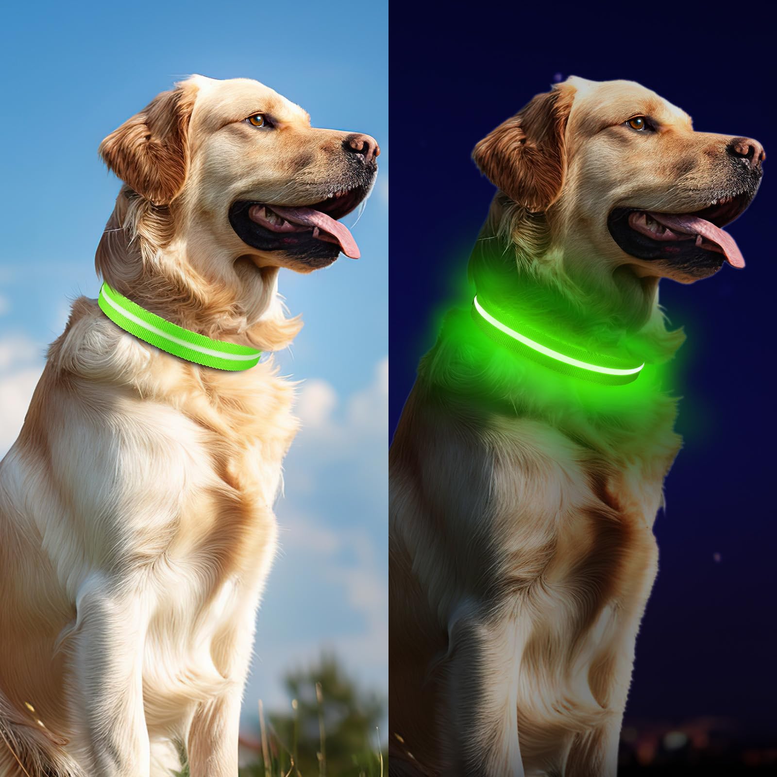 Collar de perro iluminado para caminar por la noche, collar de perro con luz LED recargable USB-C, brilla en la oscuridad, collar brillante impermeable, ajustable con 3 modos para perros