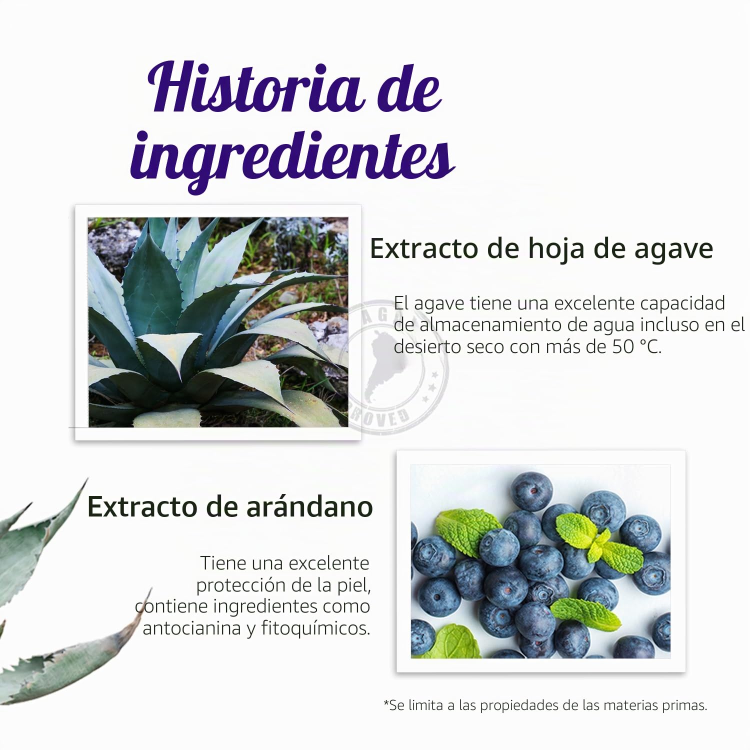 PETITFEE Agave Cooling, Máscara de Ojos de Hidrogel, Hidratante y Refrescante, Ideal para Reducir la Hinchazón y Calmar la Piel, 60 Piezas (30 Pares)