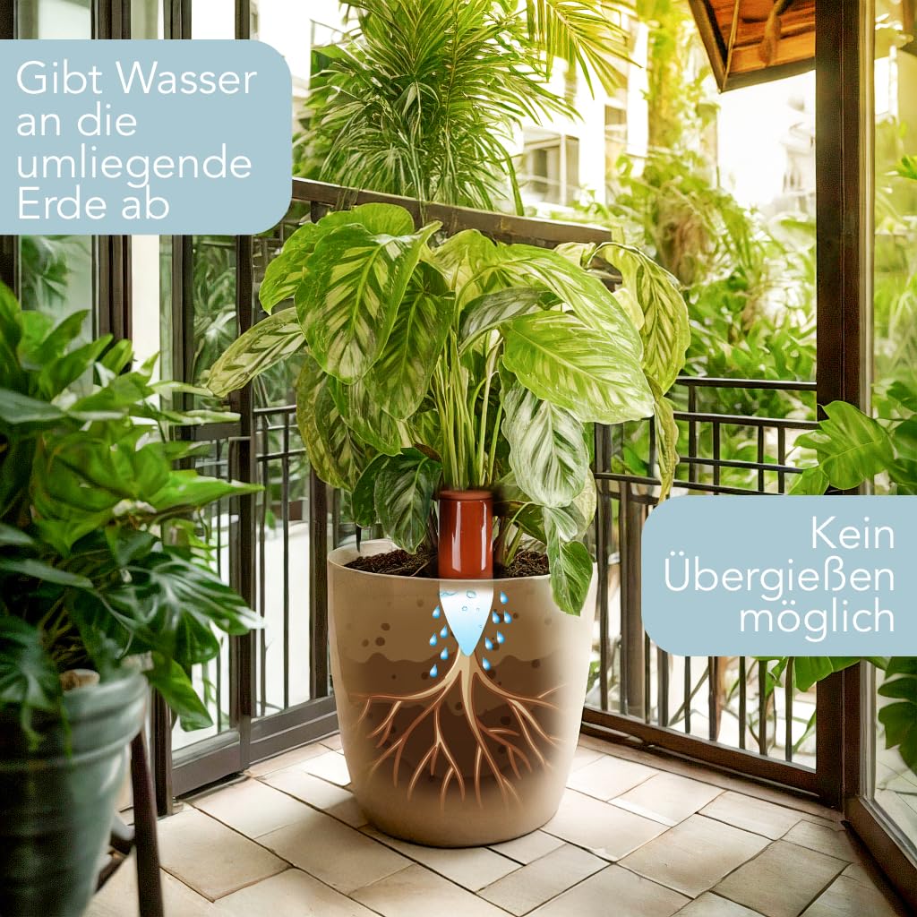 Terracotta Gießhilfe (3X 330 ml) handgefertigt für Bewässerung Zimmerpflanzen | Wasserstandsanzeiger Pflanzen | Watering can | Gießkanne Zimmerpflanzen
