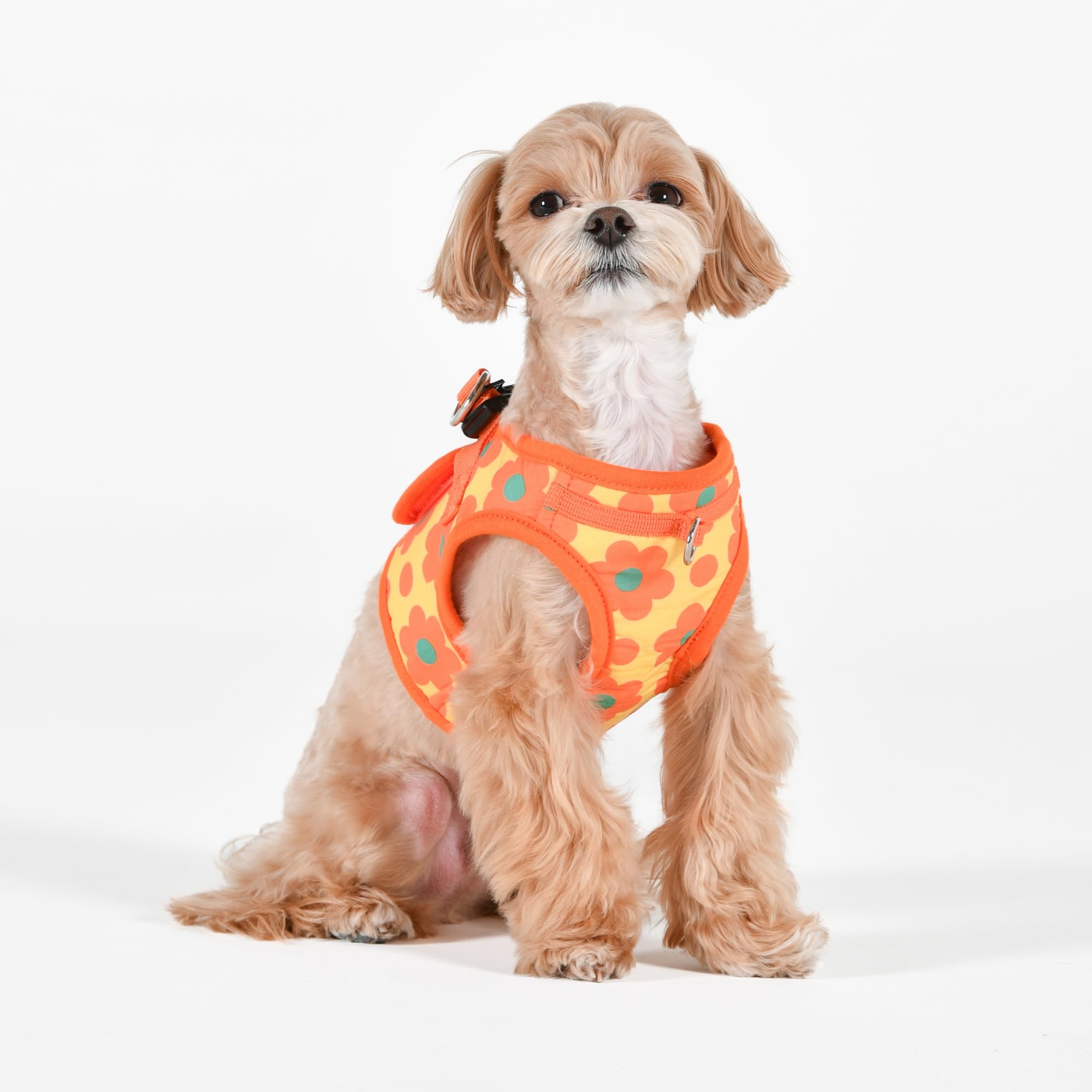 Puppia Bacopas - Arnés de chaleco B (Step-in) con patrón de flores de moda, arnés para primavera y verano para perros pequeños y medianos, naranja, pequeño