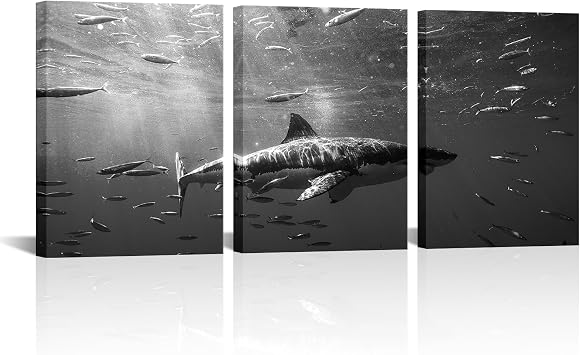 Artsbay Shark Wall Art Black and White Canvas Paintings Ocean Poster Prints Artwork for Home Office Living Room Bedroom Decorations 12Wx16Hx3pcs