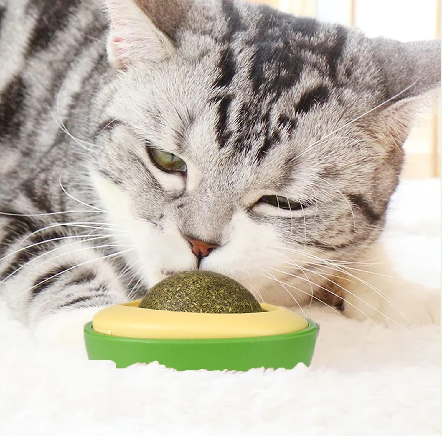 Palline Erba Gatta 4 Pezzi - Giocattolo Interattivo Per Pulizia Denti Gatti