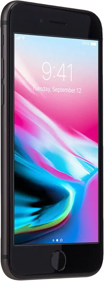 iPhone 8 64GB Cinza Espacial (Recondicionado)