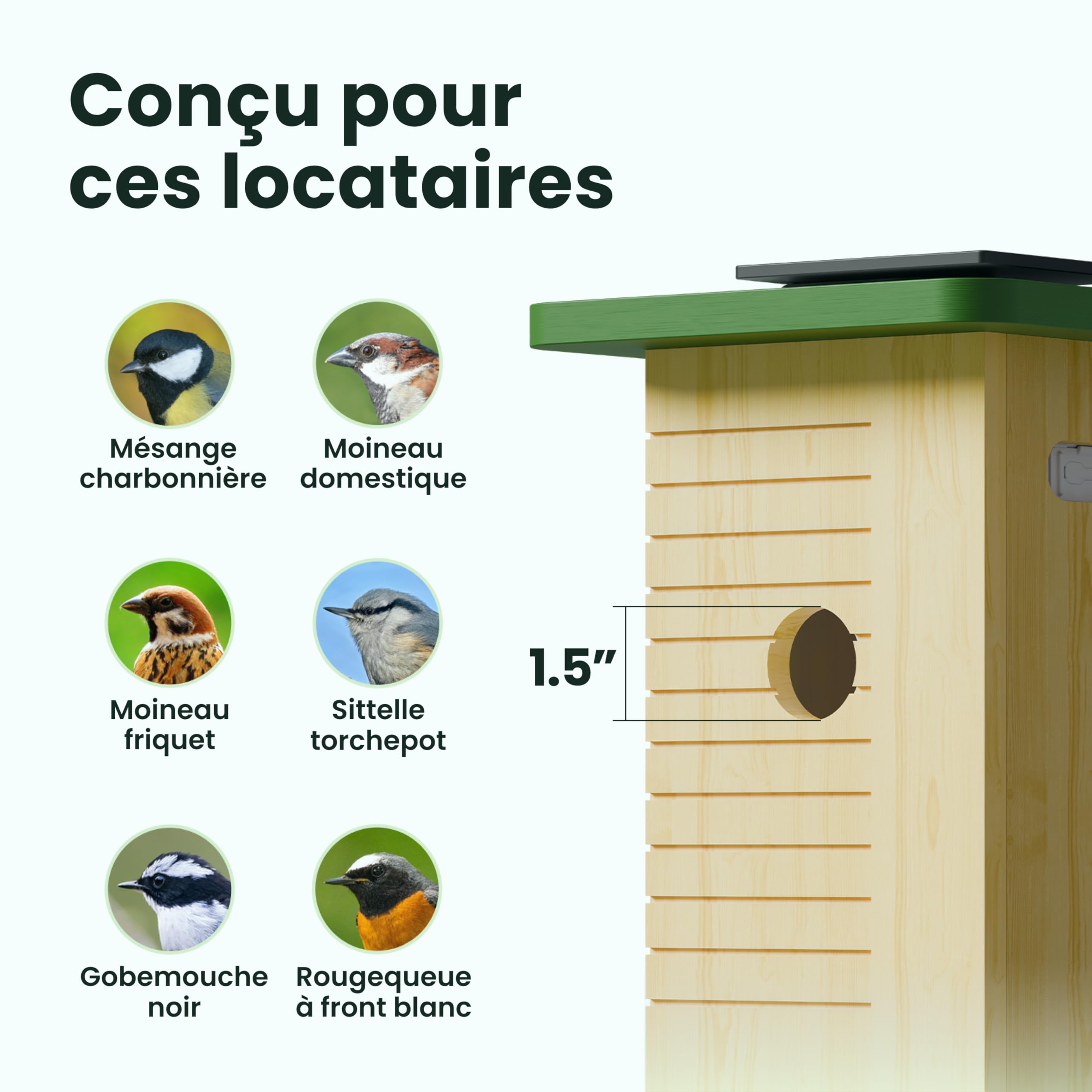 Birdfy Nichoir Oiseaux Exterieur, Camera Nichoir avec Panneau Solaire, 1080P HD Vidéo en Direct & Vision Nocturne pour Nidification 24/7, Détection Auto, Notification & Identification IA