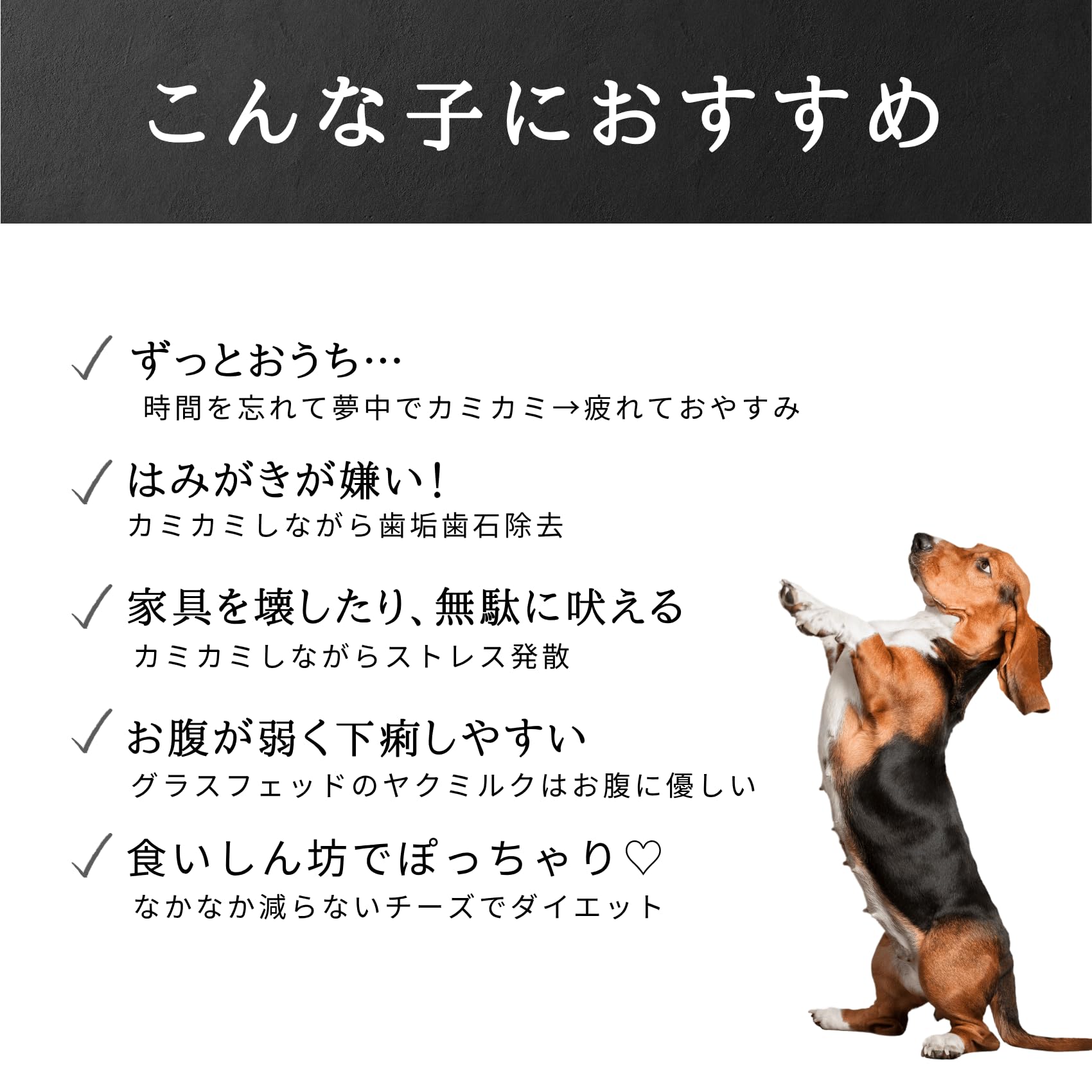 ラマ家のヤクミルクチーズM10本 Amazon | M10本 LAMAKENO® ラマチー○徳用○ 犬用 中型犬用 ラマ家の
