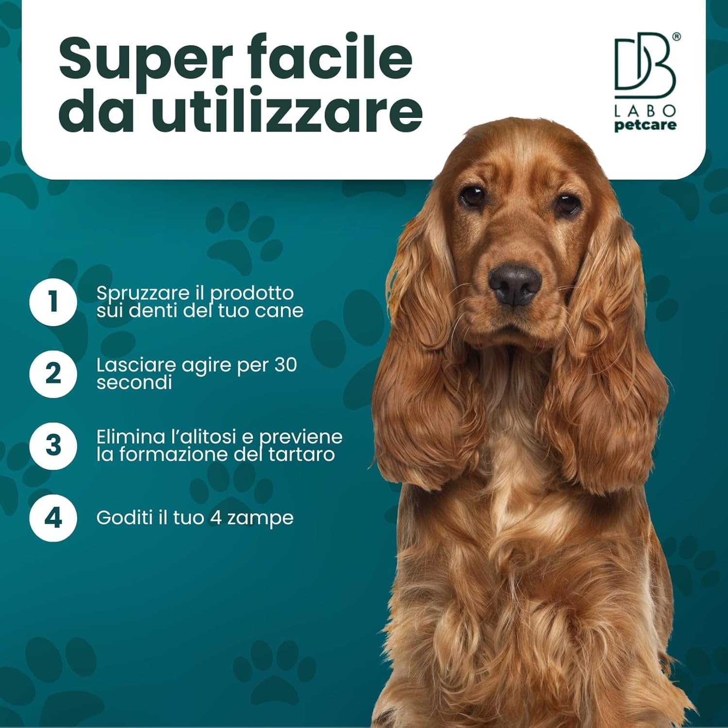 Dentifricio Spray per Cani Antialitosi 100ml Salvia Menta Tea Tree Made in Italy