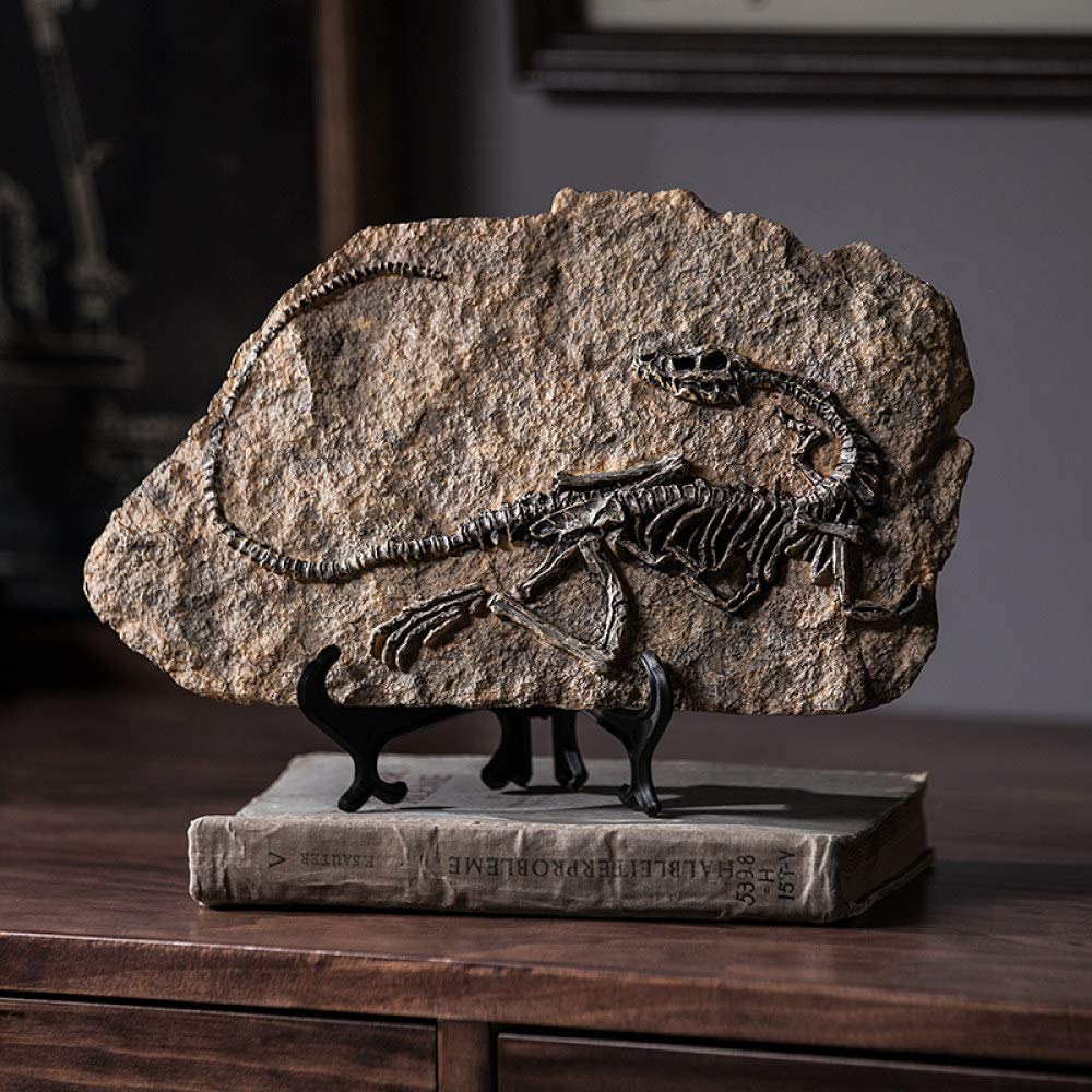 Fossile de dinosaure préhistorique en résine, reliques ornement de table