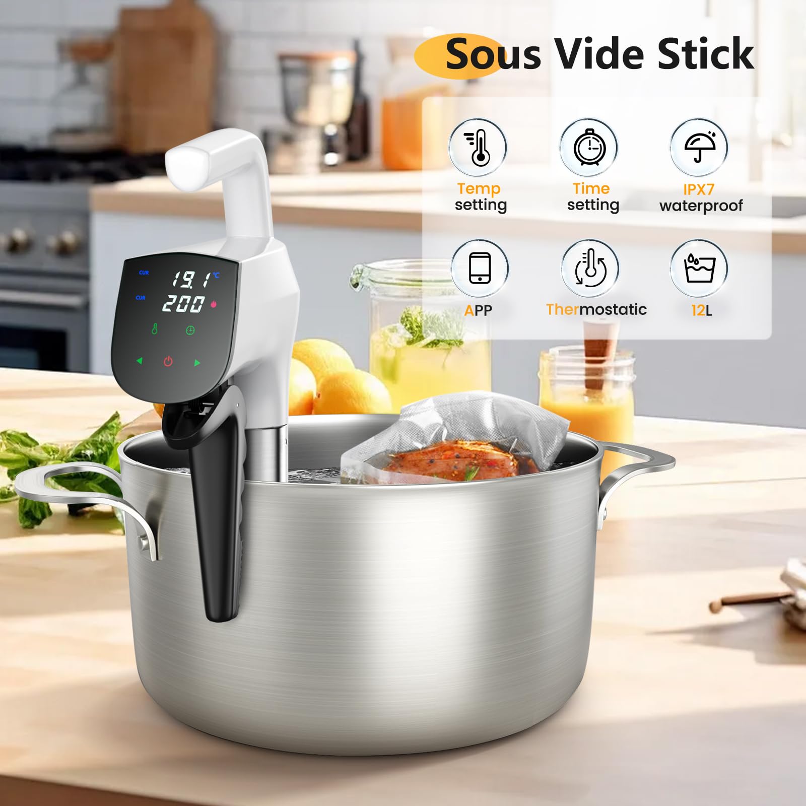 Thermoplongeur WLAN Cuiseur Sous Vide,thermoplongeur Sous Vide,Cuisson Basse Température,Contrôle Précis de la Température,Cuisson De Réservation App