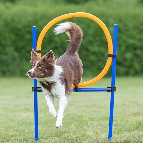Miniatura 2 de Anillo de agilidad para perros, aro portátil para perro, equipo de carrera de obstáculos, entrenamiento de obediencia 45.25 x 25.5 x 1 pulgadas