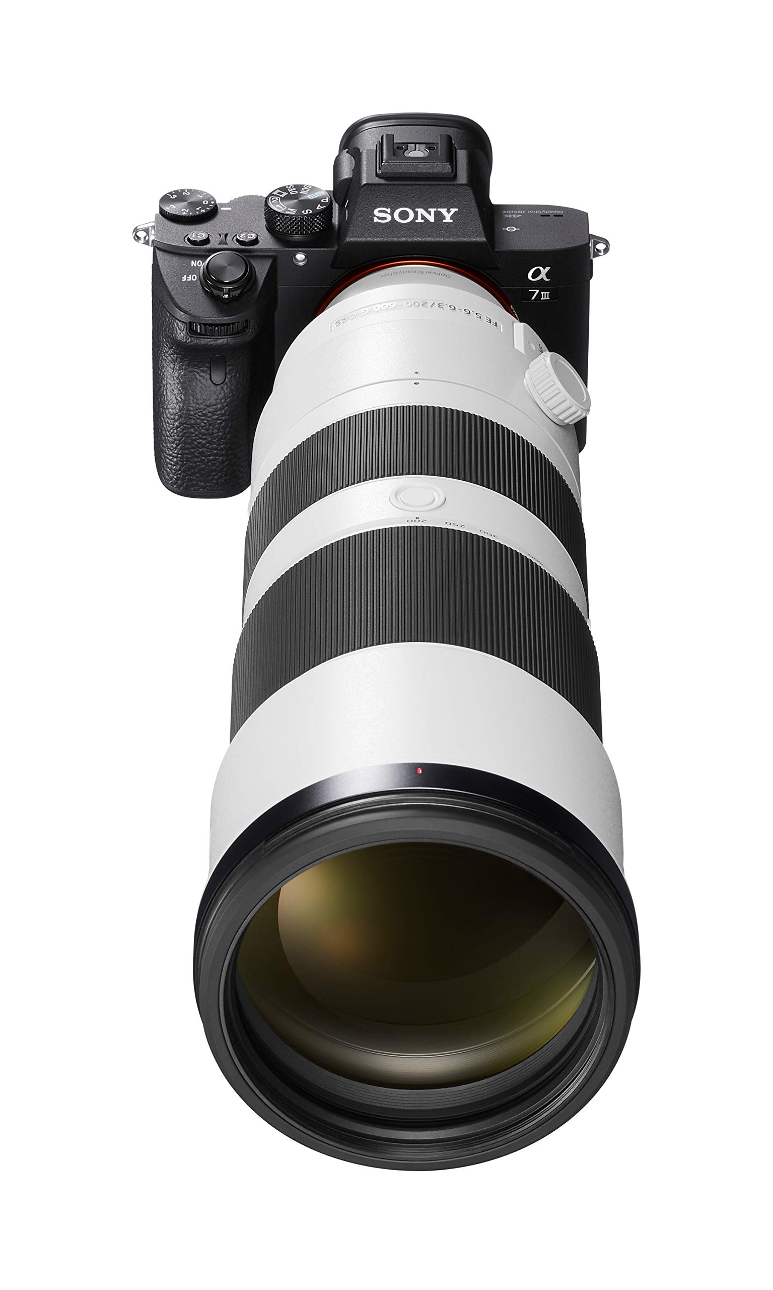 Sony FE 200-600 mm f/5.6-6.3 G OSS - Full-Frame, Zoom, Superteleobjetivo G (SEL200600G)