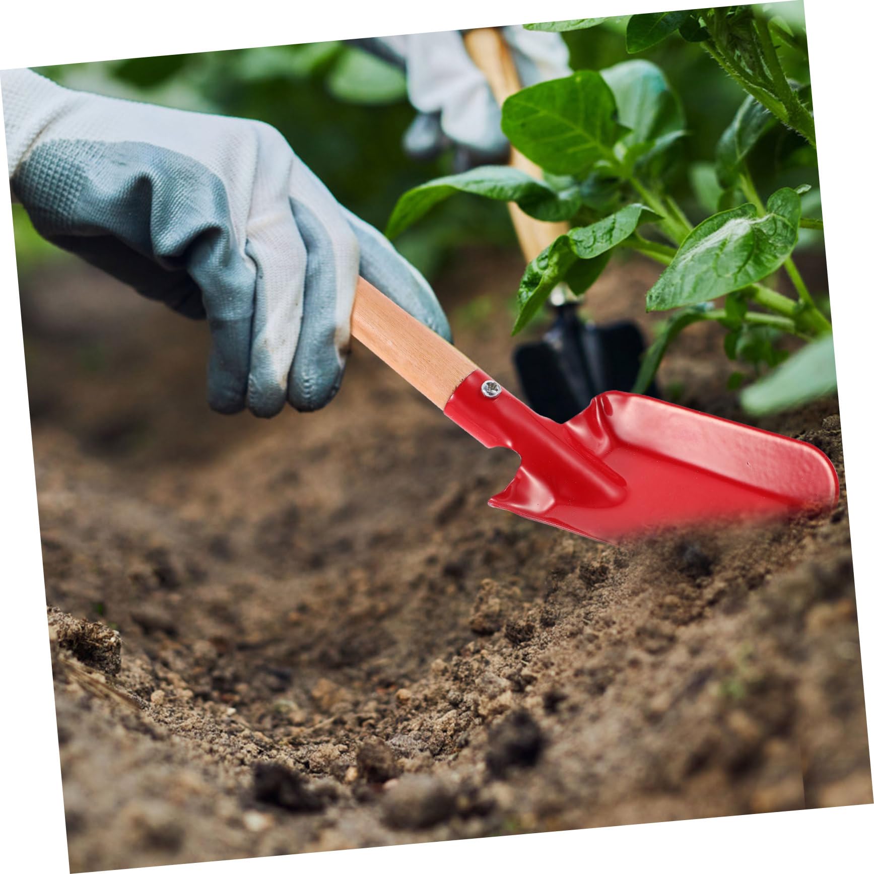 TOYANDONA 3 Series Jardinería De Metal Herramienta De Jardín para Plantación Verduras para Huertos 2 Piezas X 3