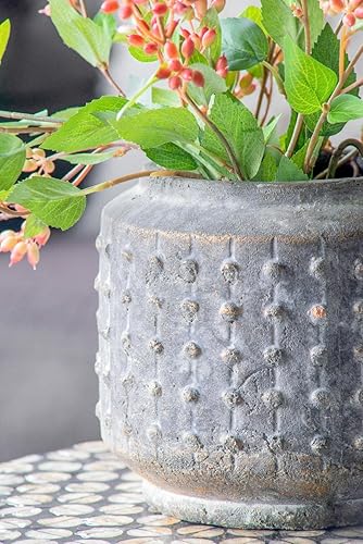 Miniatura 7 de T2 Concept 100% terracota Southern Living Collection Noam maceta envejecida vintage aspecto dramático para interiores o exteriores, sin agujero