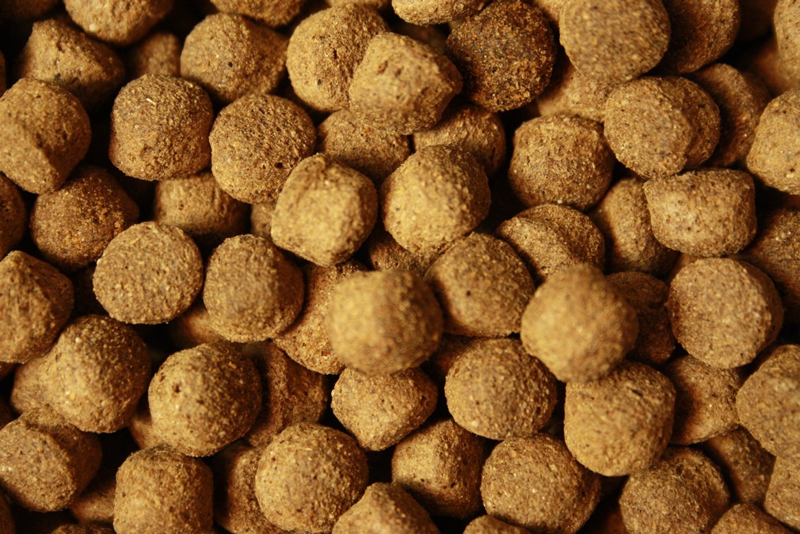 Koifutter Schwimmfutter 8mm Koi Pellets Ganzjahresfutter für große Koi Jumbo Koi leicht verdauliches Koi-Fischfutter arktische Rohstoffe Tomodachi Koi-Schwimmfutter 8mm 15kg