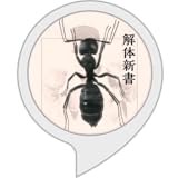 アリさん解体新書