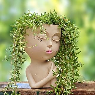 Face Planter, Plant Pots Indoor, Face Flower Pot Head Planter, Cute Flower Pots, Face Planters Pots Head Planters for Indoor Plants, Face Plant Pot, Succulent Pots with Drainage, Unique Flower Vase 7"