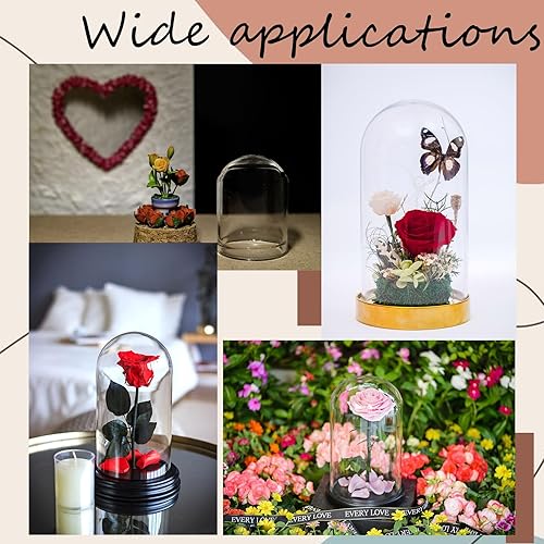 Miniatura 7 de CRASPIRE 15 piezas de cúpula de cristal con base de corcho de 1.75 pulgadas, mini exhibición, frasco, cubierta de soporte, funda decorativa