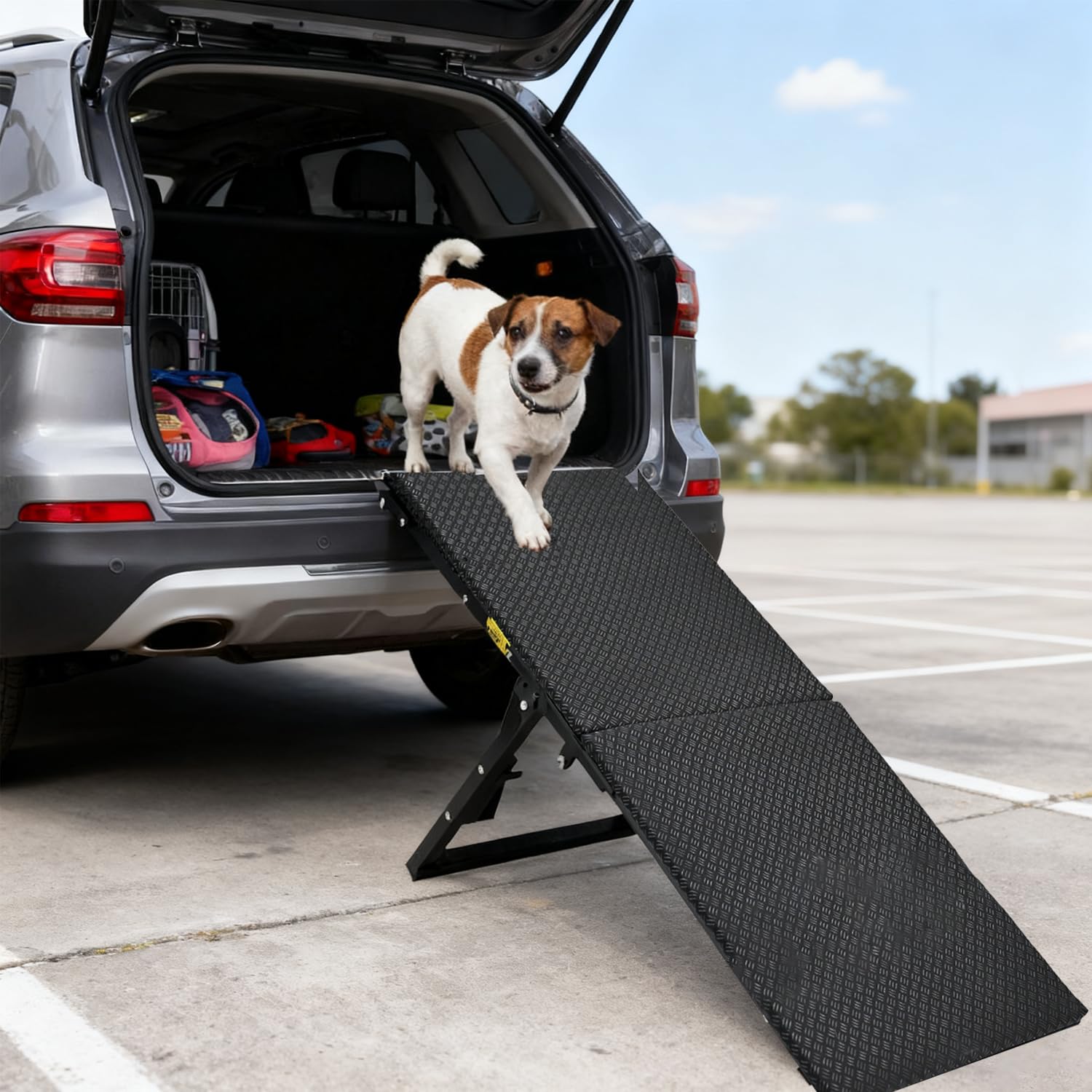 Rampa per Cani Pieghevole in Metallo, Scala per Cani Letto Regolabile in Altezza (33,5-46,5 cm), per Cani Anziani e Piccoli, Fino a 40 kg