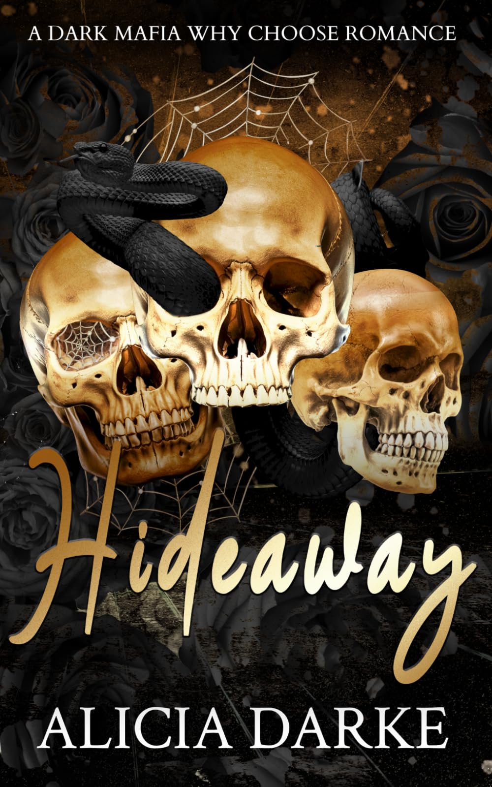 Hideaway: A Dark Mafia Why Choose Romance (Savages of Ravens Hollow)