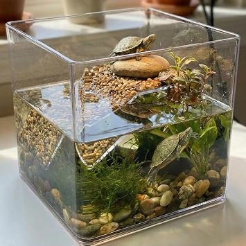 Premium Kristal Küp Nano Akvaryum & Beta Fanusu 20X20X20 cm 7 Litre - Karides ve Balık Akvaryumu