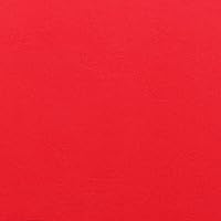 Vista 71 de KYDEX - Hoja termoformada – Textura P1 – (0.093 de grosor) – (12 x 12 pulgadas) – (marrón coyote) – (3 hojas) – para hacer funda de bricolaje