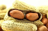 Vista 4 de Wakefield Premium Virginia Peanuts In-Shell para ardillas, Blue Jays & Wildlife – Bolsa a granel de 25 libras – Recogida a mano, cruda, sin sal